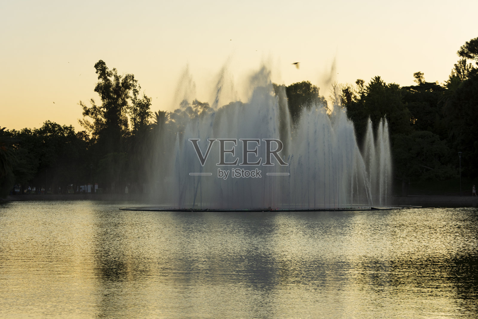 日落时，独立公园湖中的喷泉。2023年12月。罗萨里奥市，Arg…照片摄影图片