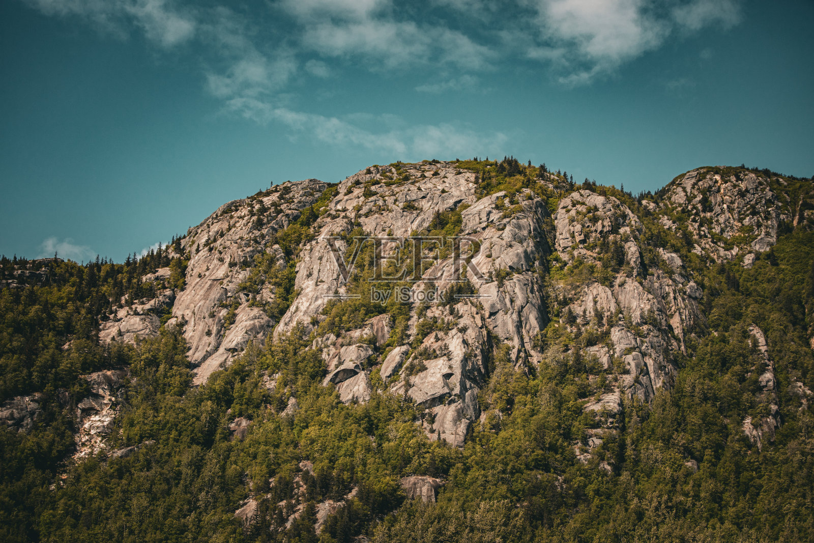 在一个美丽晴朗的日子里，阿拉斯加的斯卡格威，树木覆盖的悬崖照片摄影图片