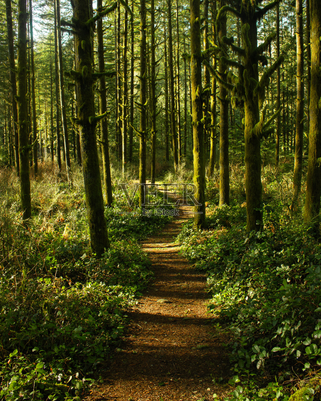 自然的冒险照片摄影图片