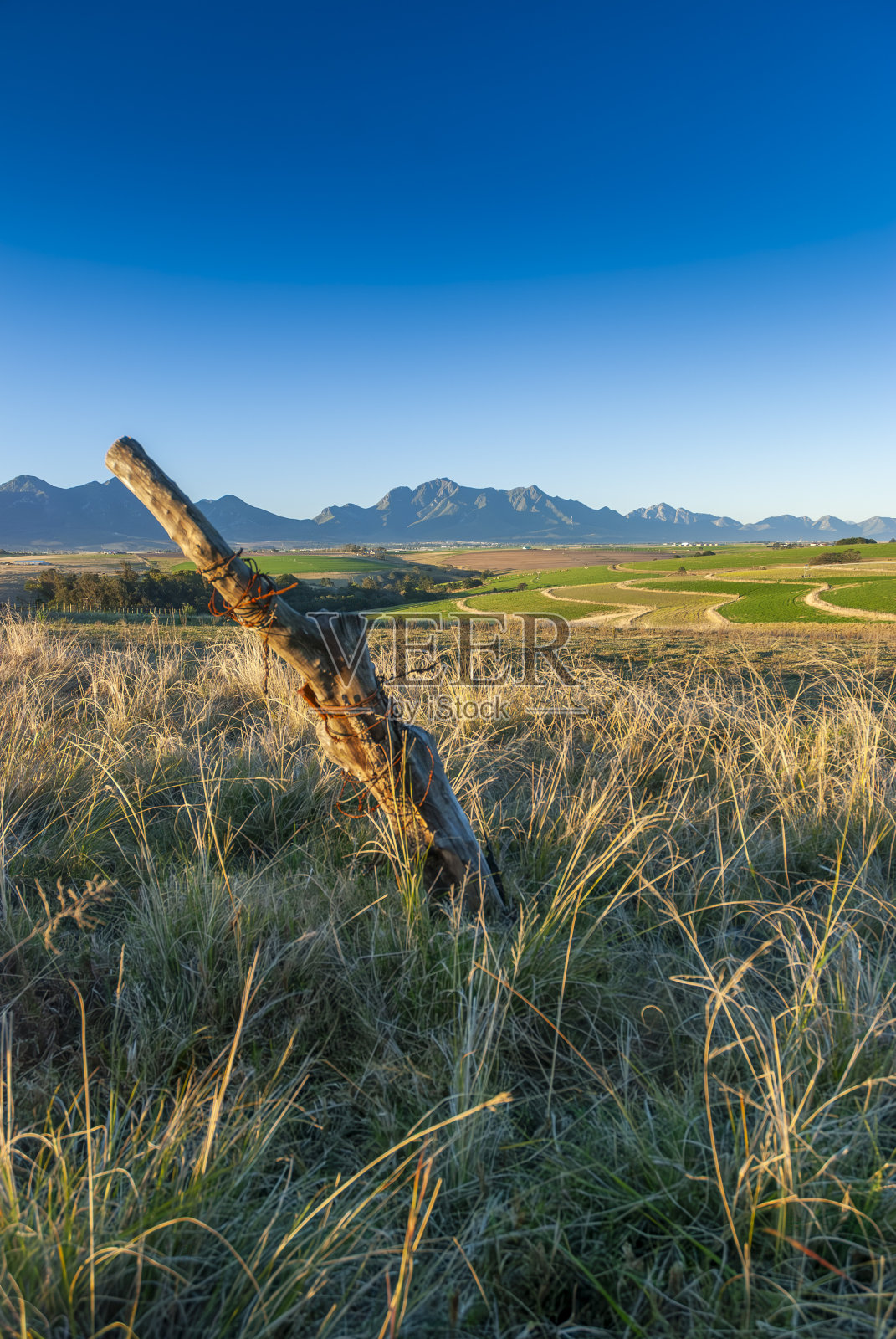 南非西开普省乔治周围农田的田园景观照片摄影图片