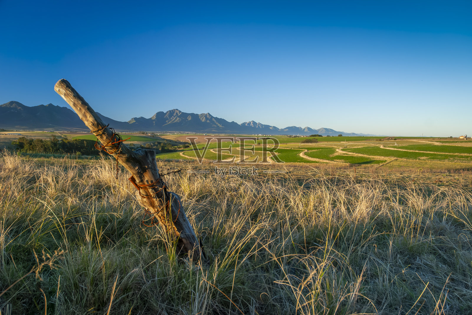 南非西开普省乔治周围农田的田园景观照片摄影图片