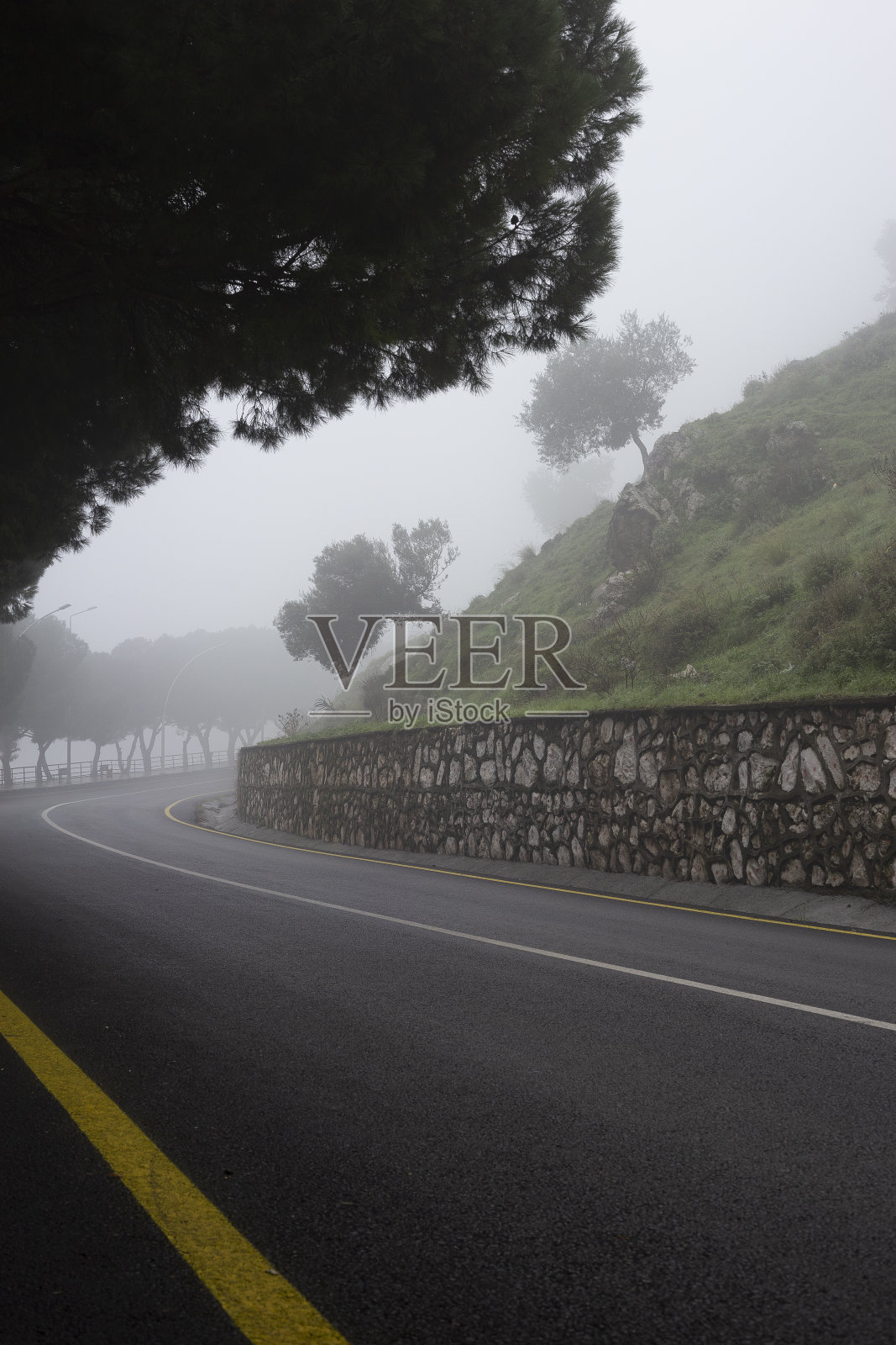 雾蒙蒙的森林里的汽车路照片摄影图片