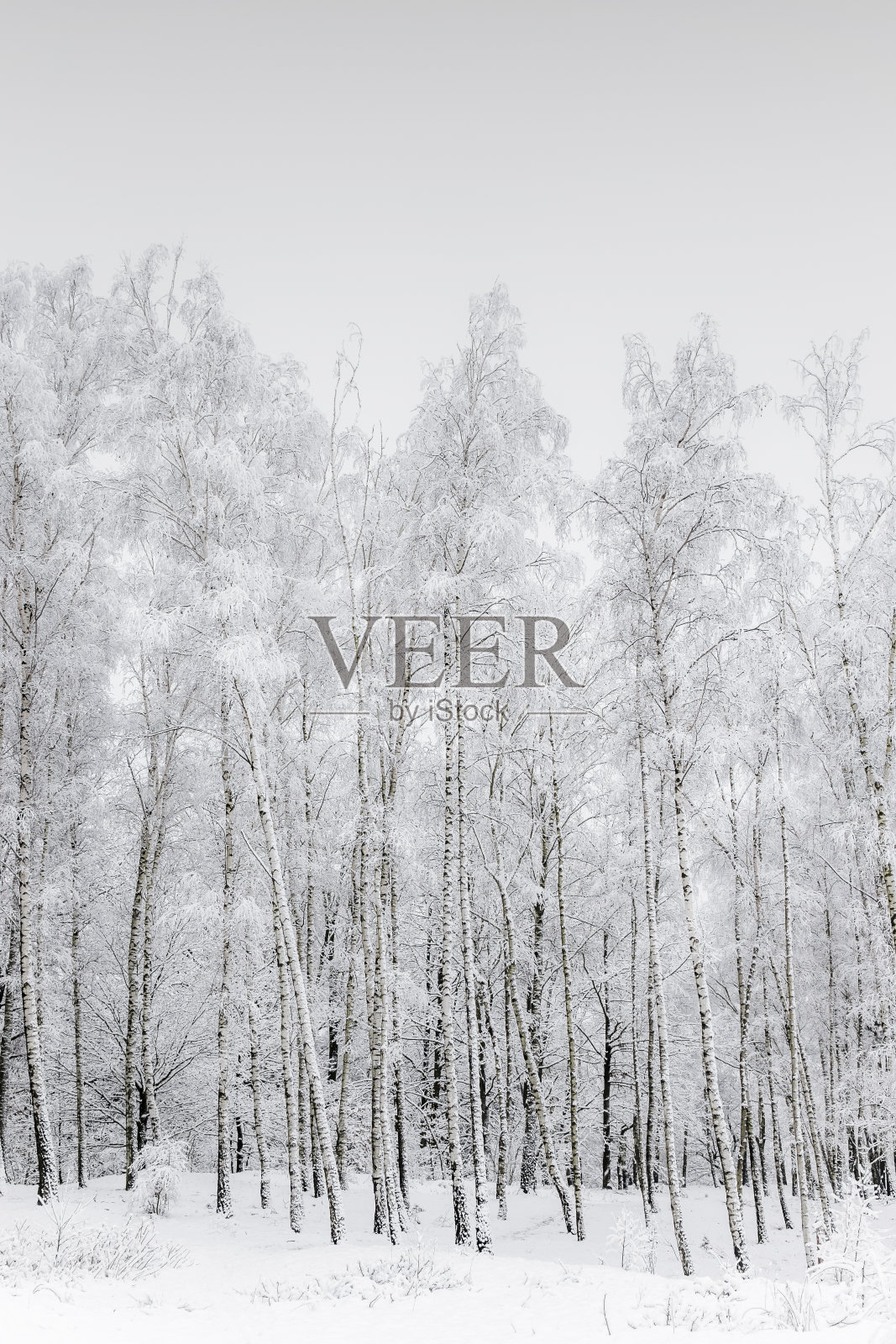 冬天的风景照片摄影图片