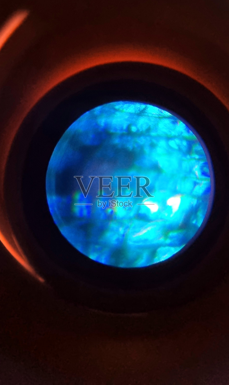 显微镜下细胞的特写镜头。科学照片摄影图片