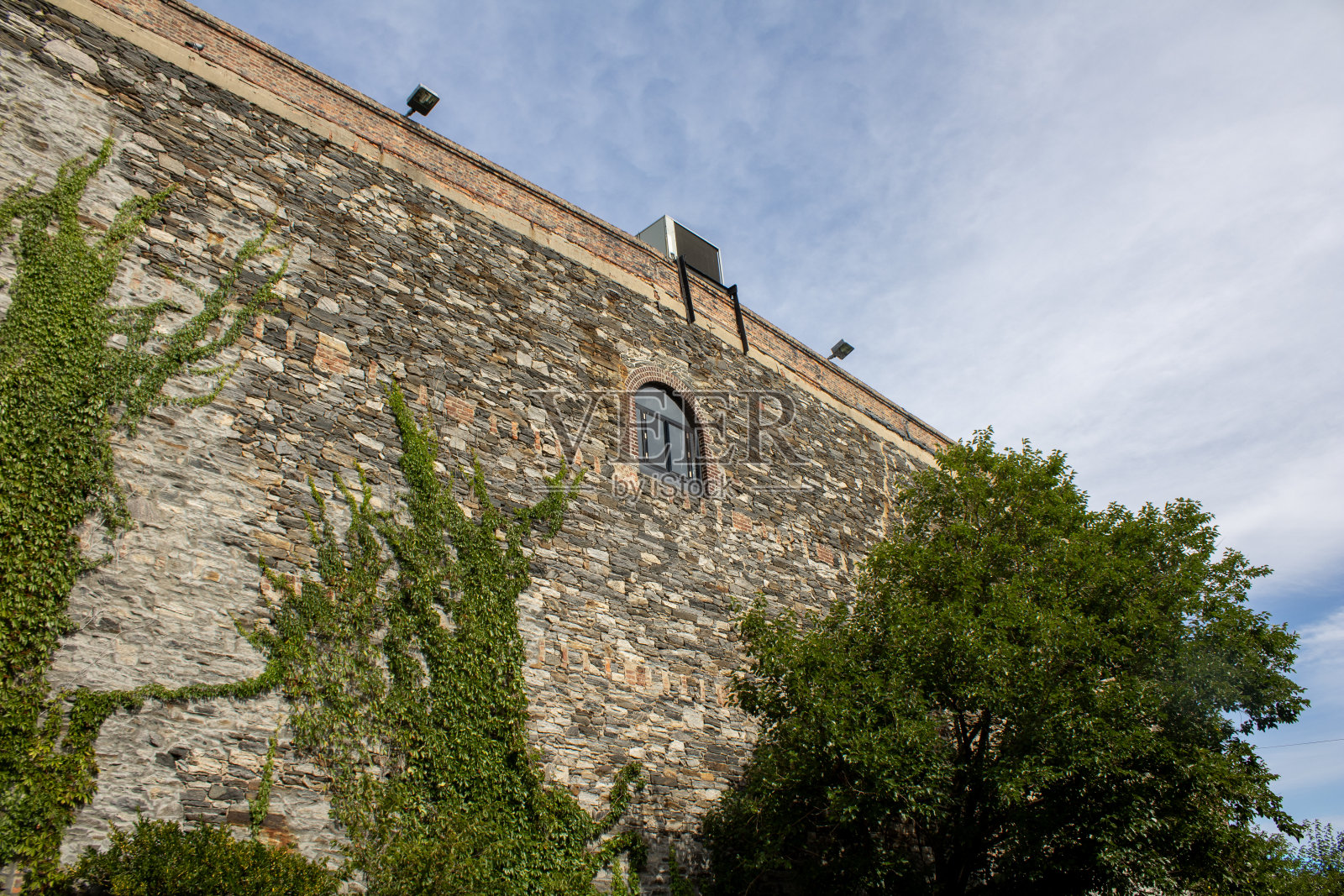 一座大砖房周围有许多树，其中一棵在前景照片摄影图片