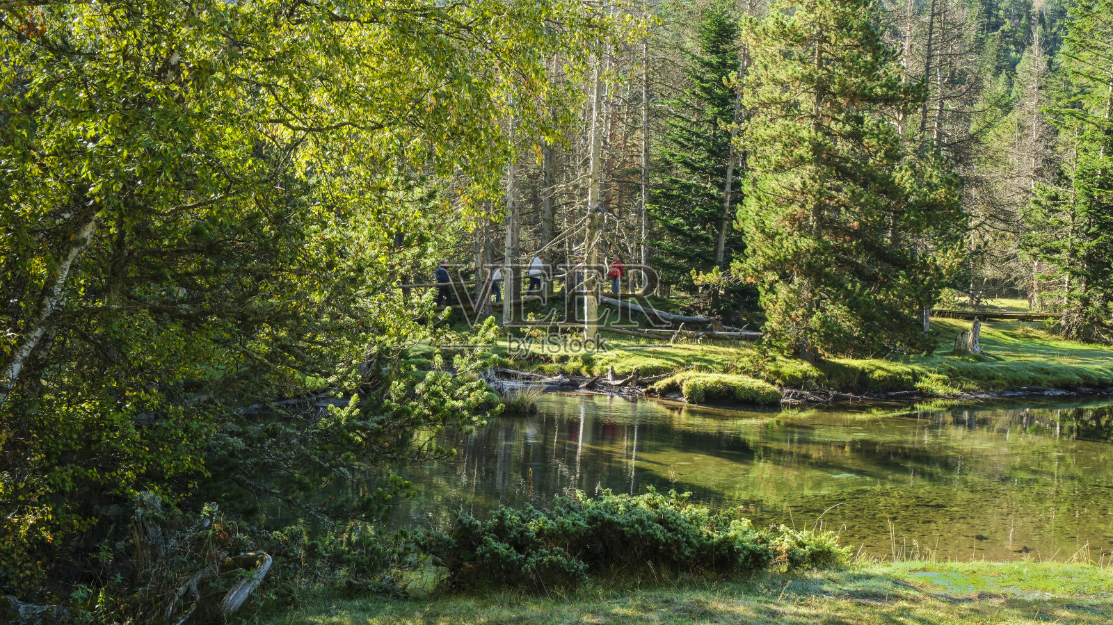 aiig<s:1>埃斯托尔特斯国家公园，加泰罗尼亚，西班牙，欧洲照片摄影图片