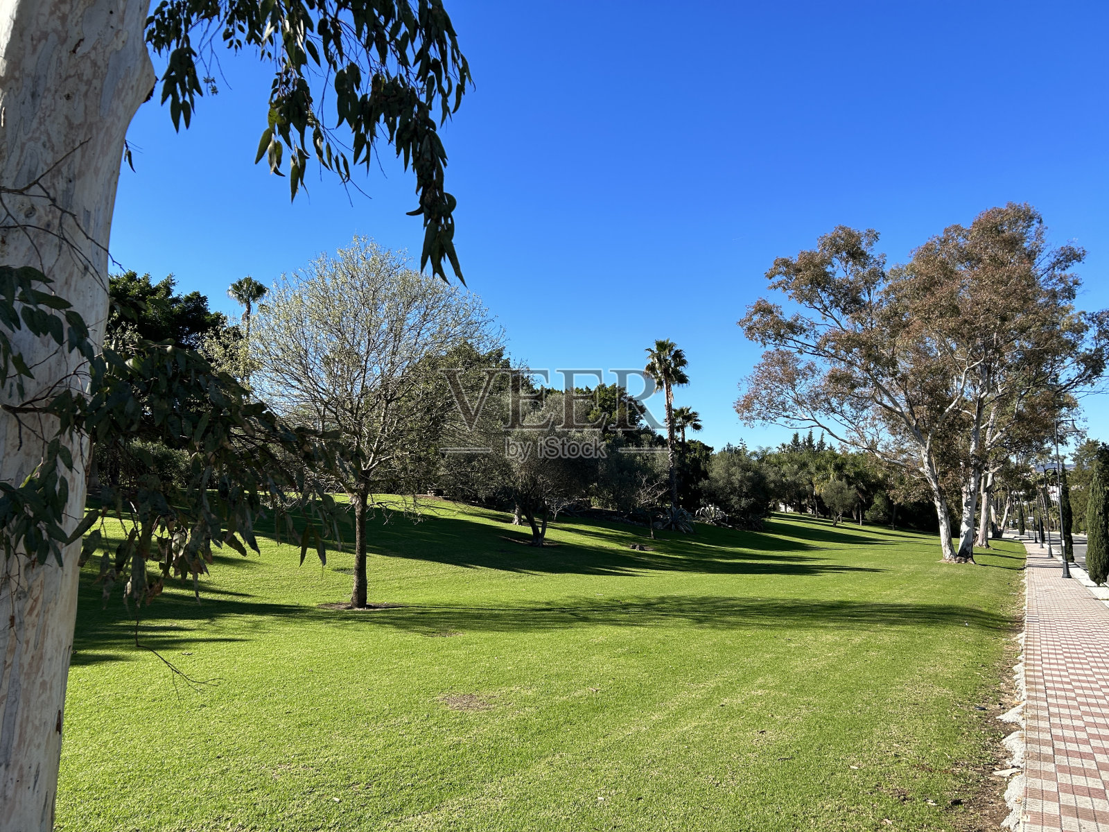 位于洛斯巴里奥斯镇的公园照片摄影图片