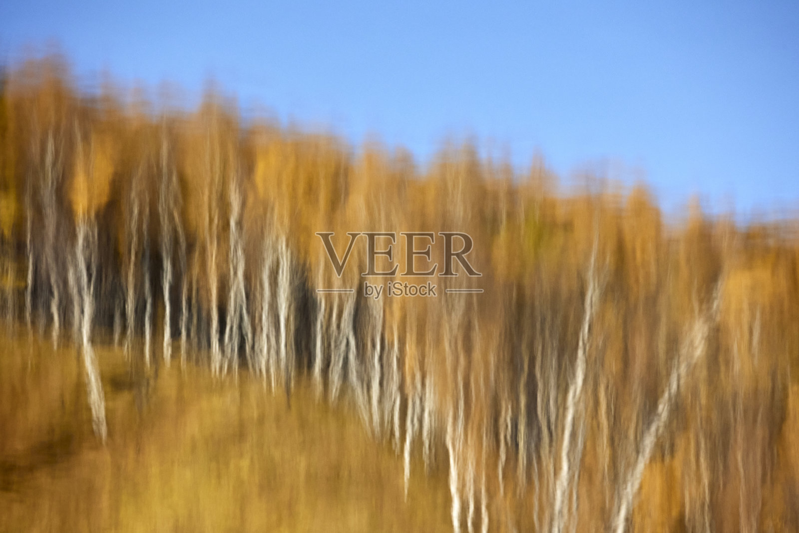 秋林倒映在水面上照片摄影图片