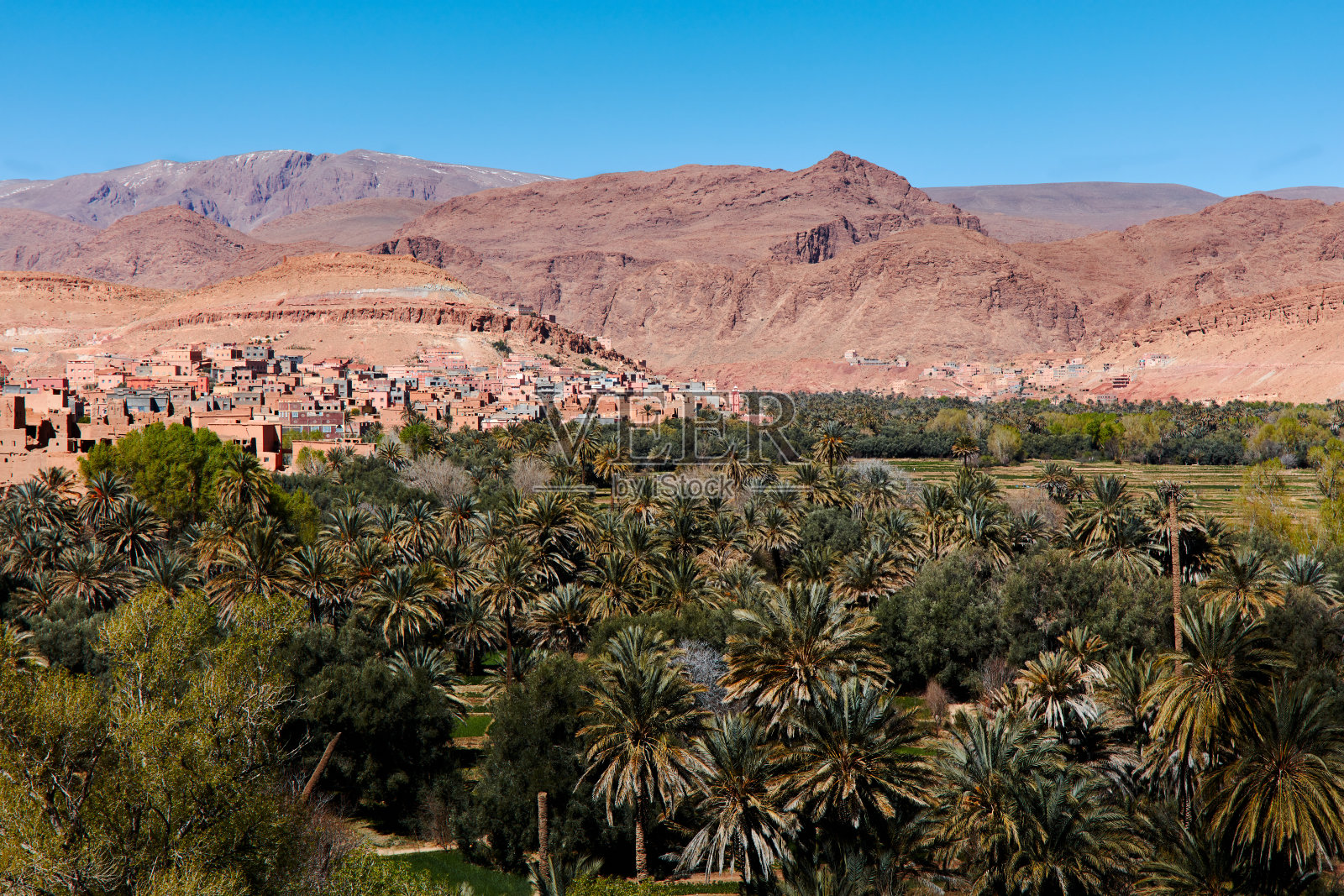 摩洛哥旧城区。绿洲旁的村庄，有棕榈树。摩洛哥阿特拉斯山脉照片摄影图片