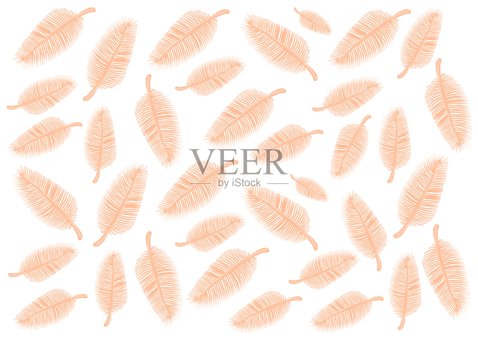 白色背景上不同大小的桃色羽毛。桃子绒毛。插画图片素材