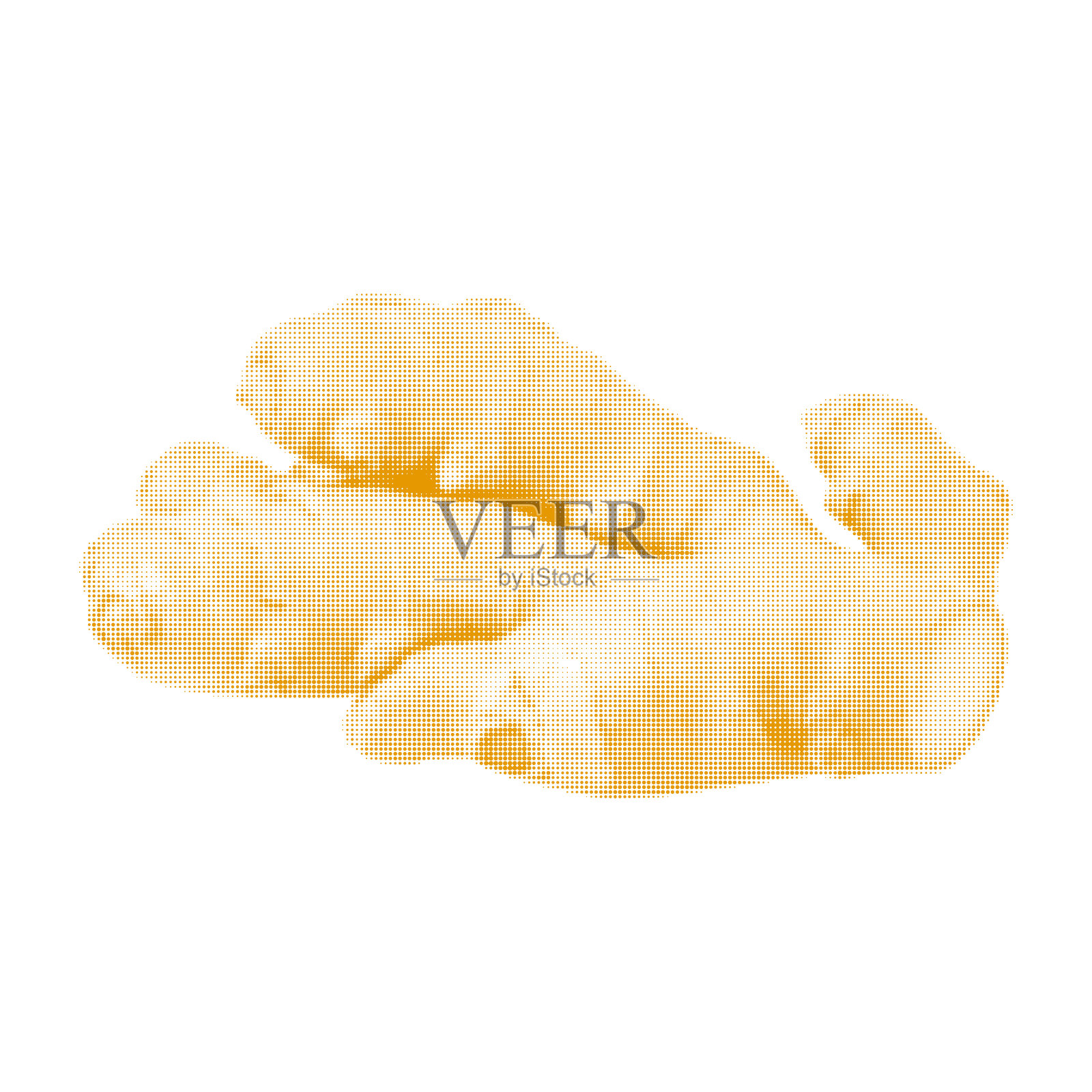 姜的根，孤立在白色背景上插画图片素材