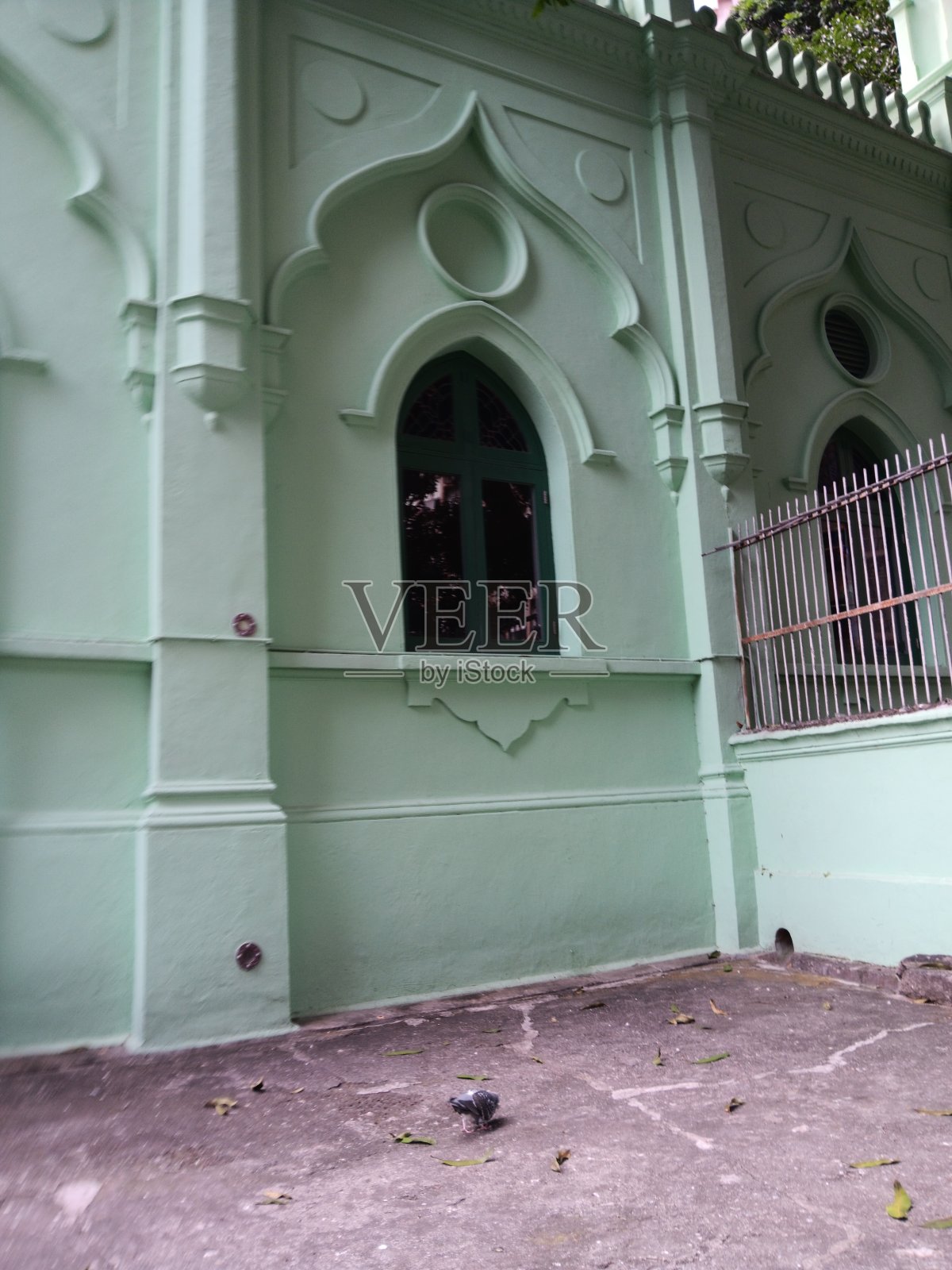 贾米亚清真寺外的鸽子，和平的象征，与阿拉伯式拱门窗框上的十字架巧合。照片摄影图片