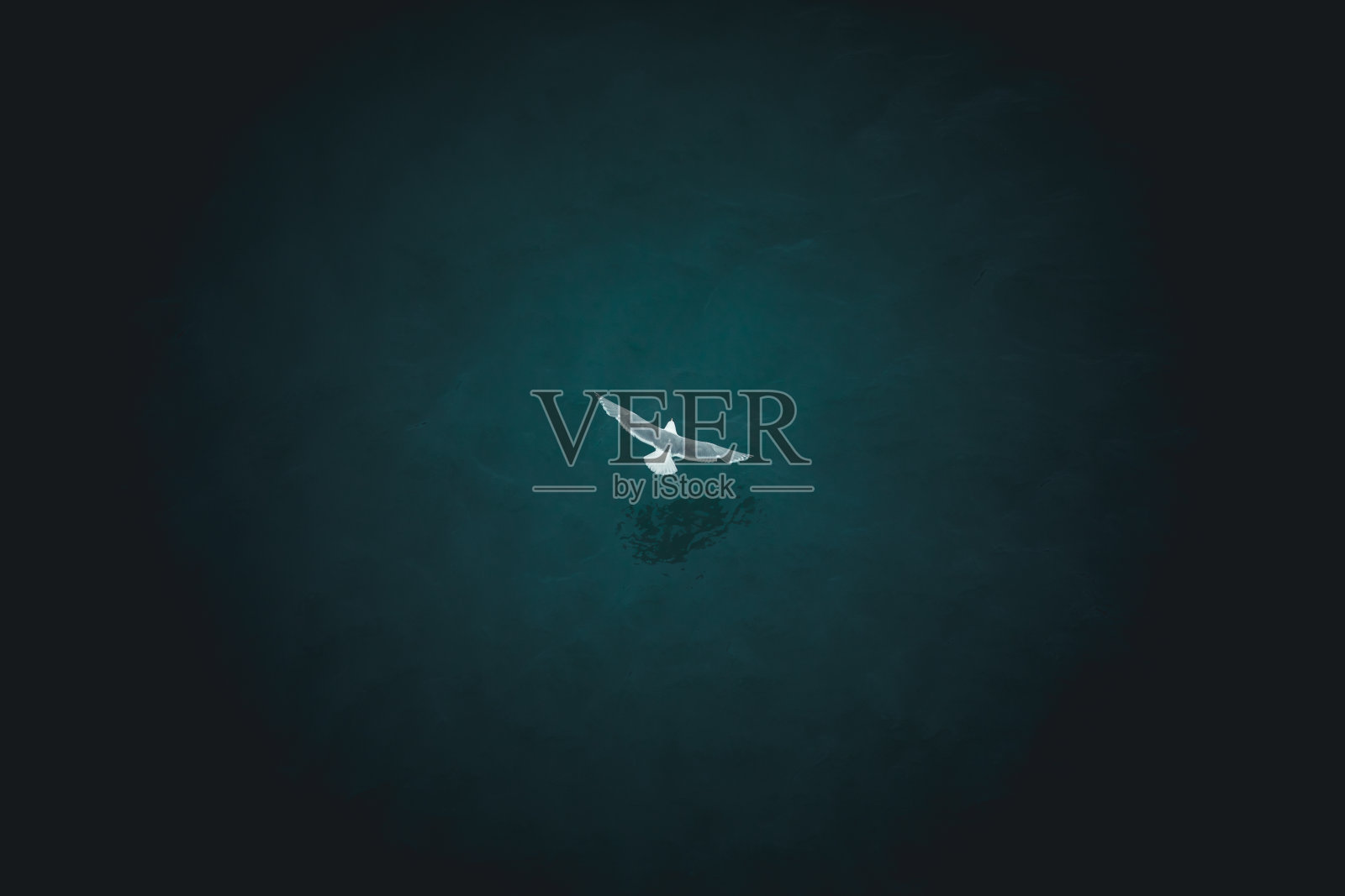 一只孤独的鸟飞过阿拉斯加的蓝色水域照片摄影图片