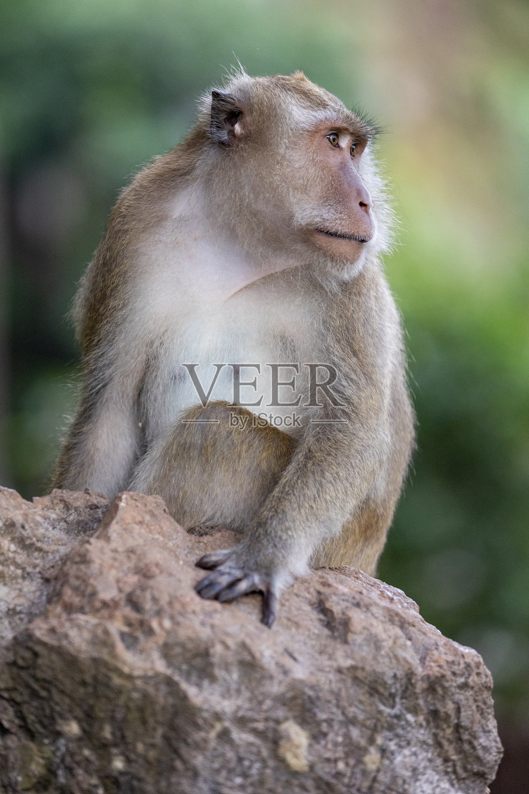 人们的生活照片摄影图片
