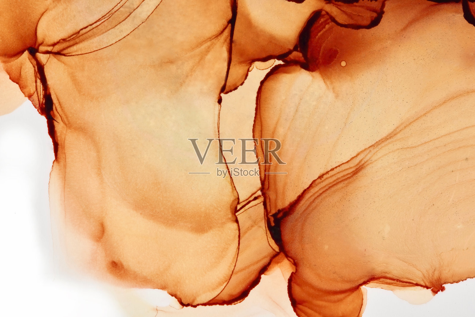 自然抽象流体艺术绘画的酒精墨水技术。柔和梦幻的颜色创造透明的波浪线。照片摄影图片