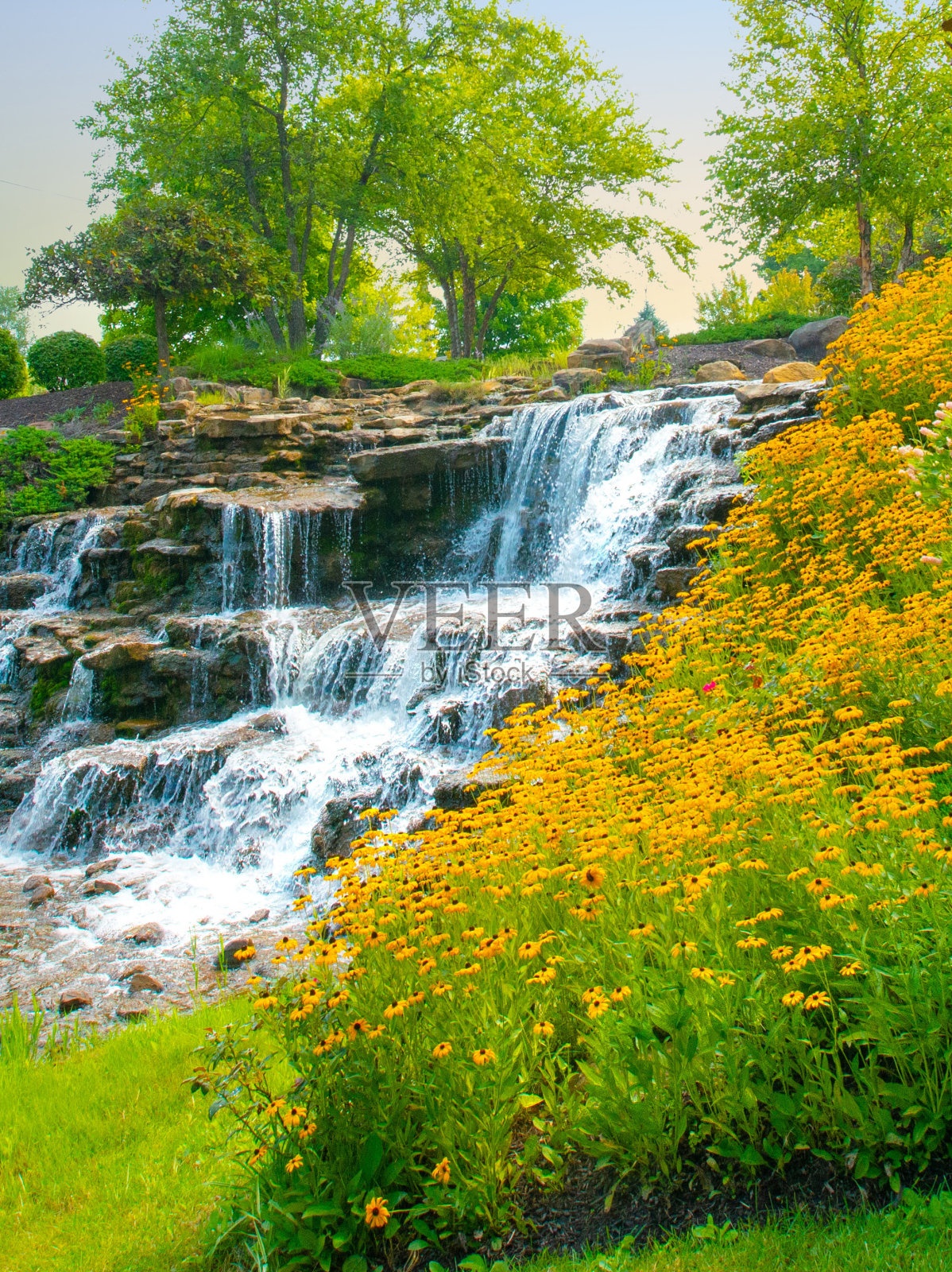 瀑布与花-汉密尔顿县，印第安纳州照片摄影图片