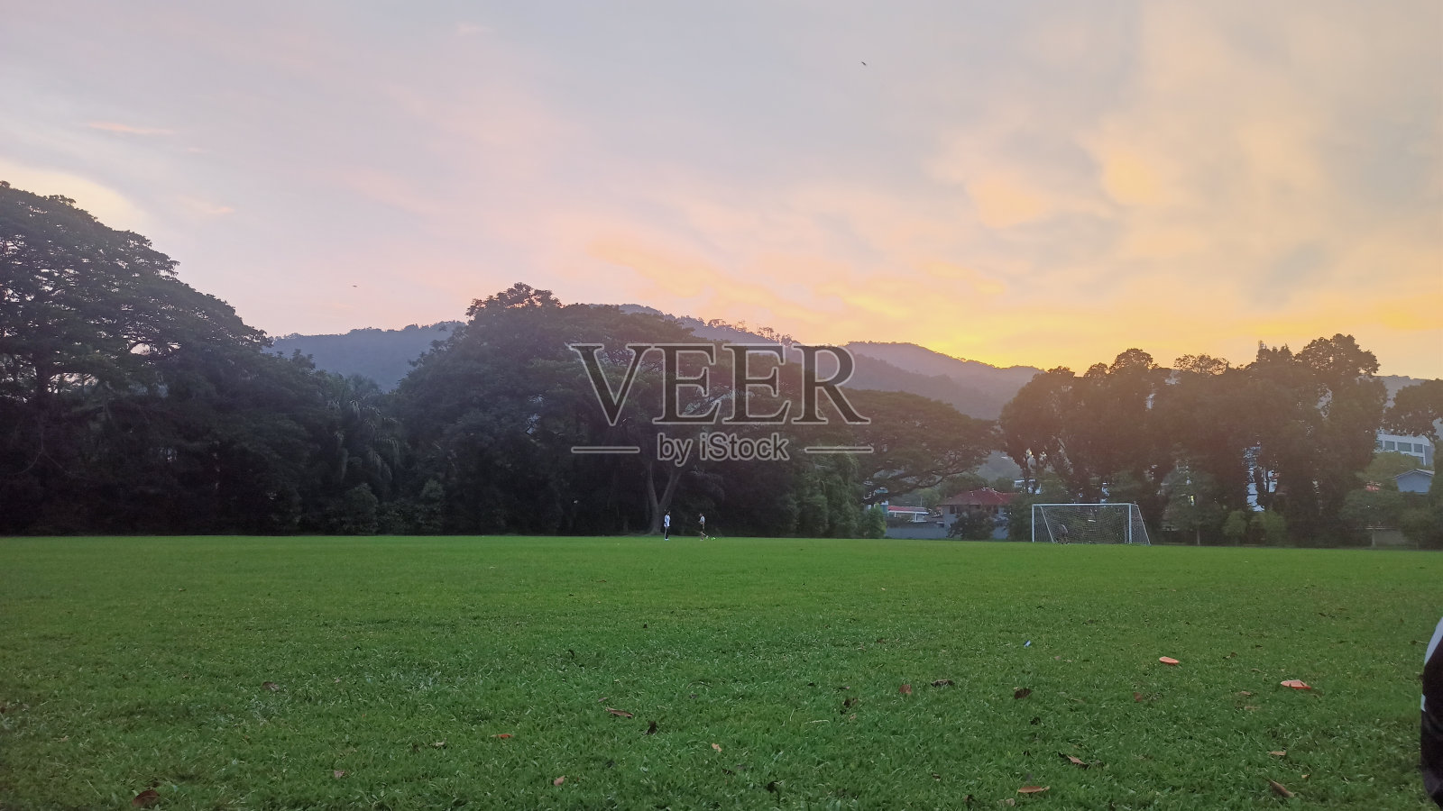 场照片摄影图片