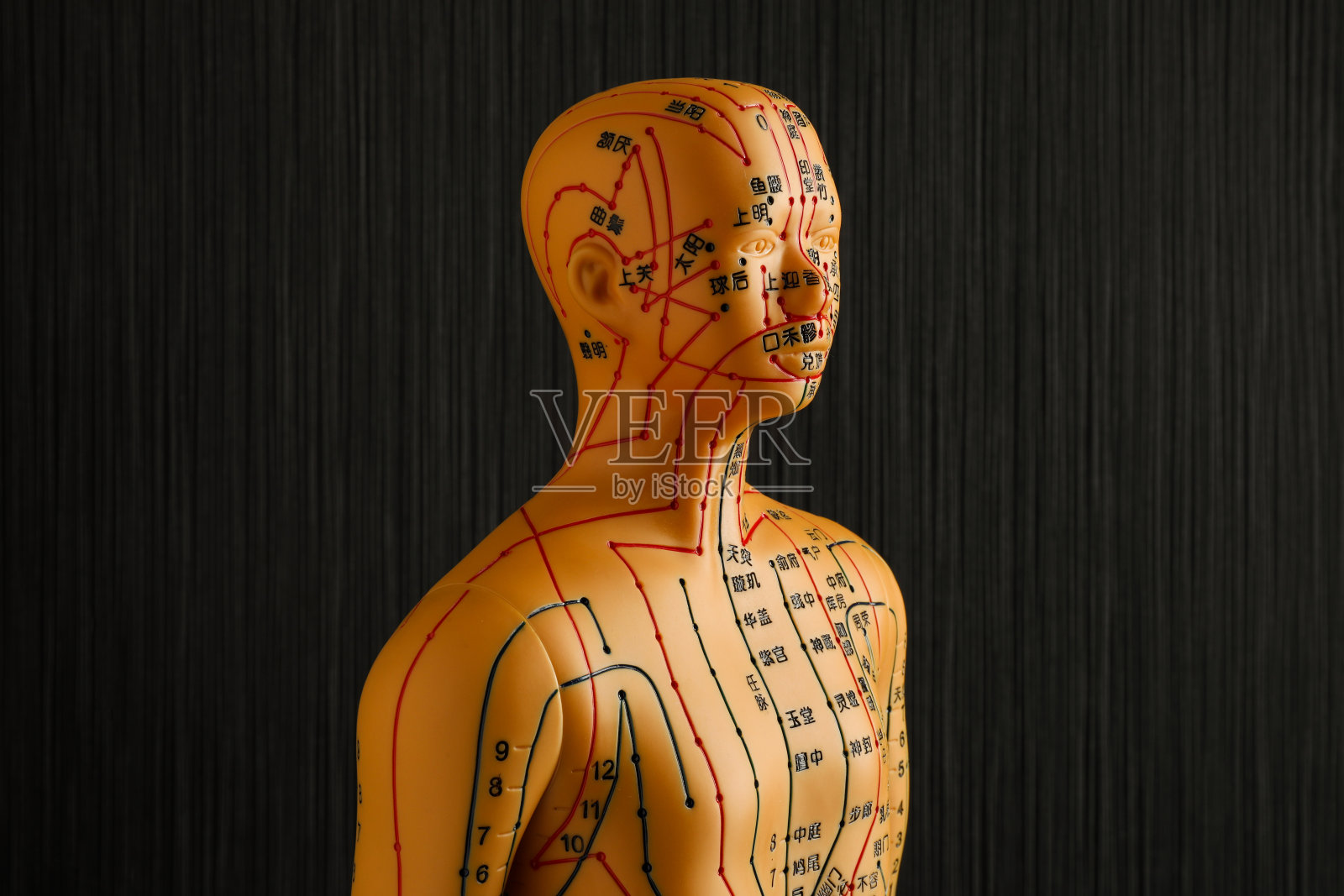 针灸模型。人体模型与点和线在黑色背景照片摄影图片
