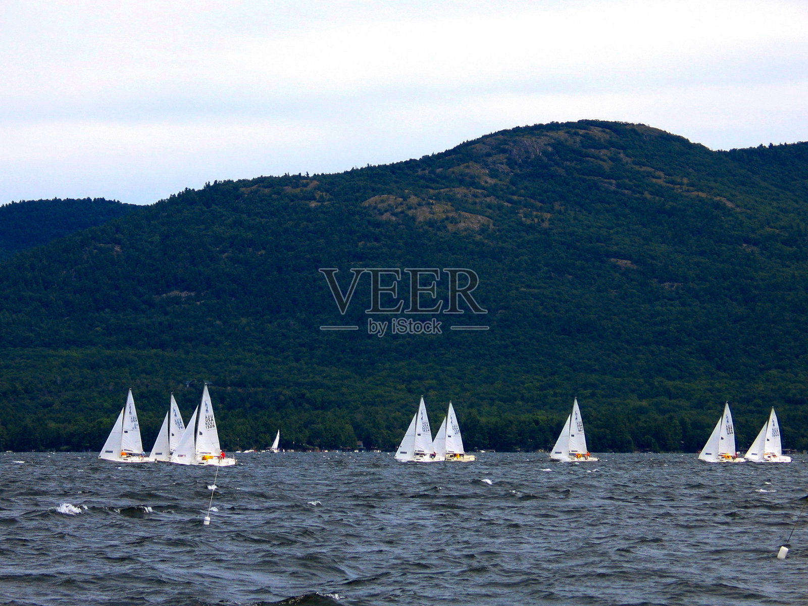 帆船比赛照片摄影图片