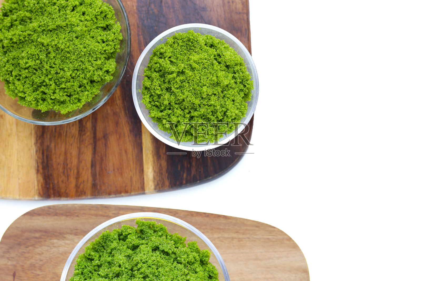 Wolffia globosa或沼泽藻，水粉照片摄影图片