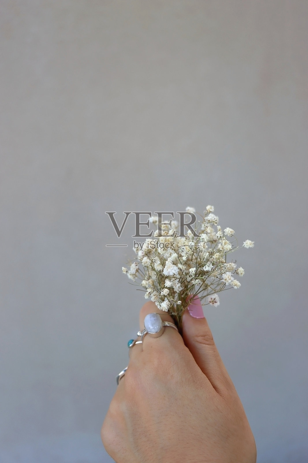 手捧吉思莲花照片摄影图片