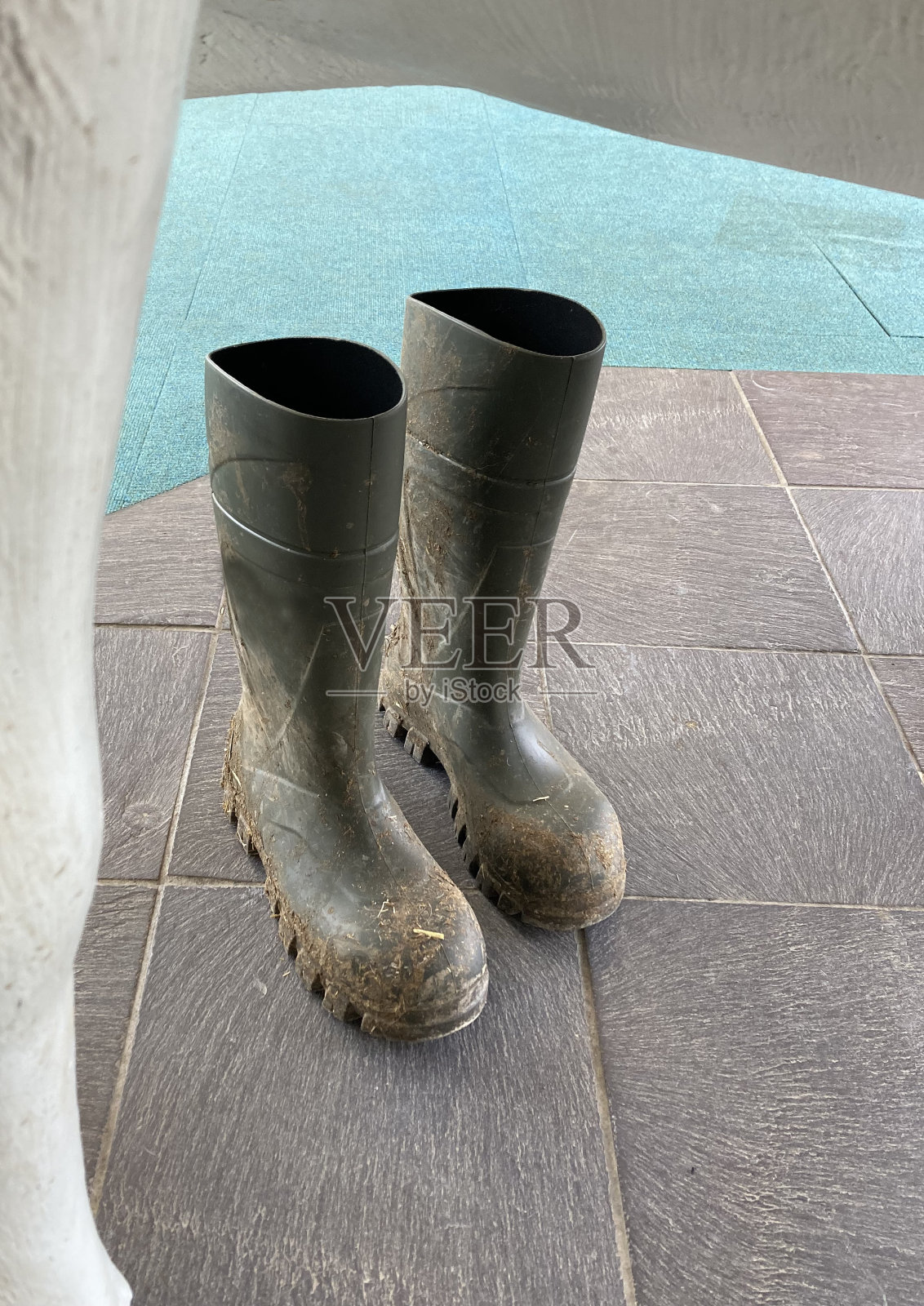 泥泞肮脏的雨靴坐在一头奶牛模型下面——奶牛场的农民和农场一般都是艰难的生意照片摄影图片