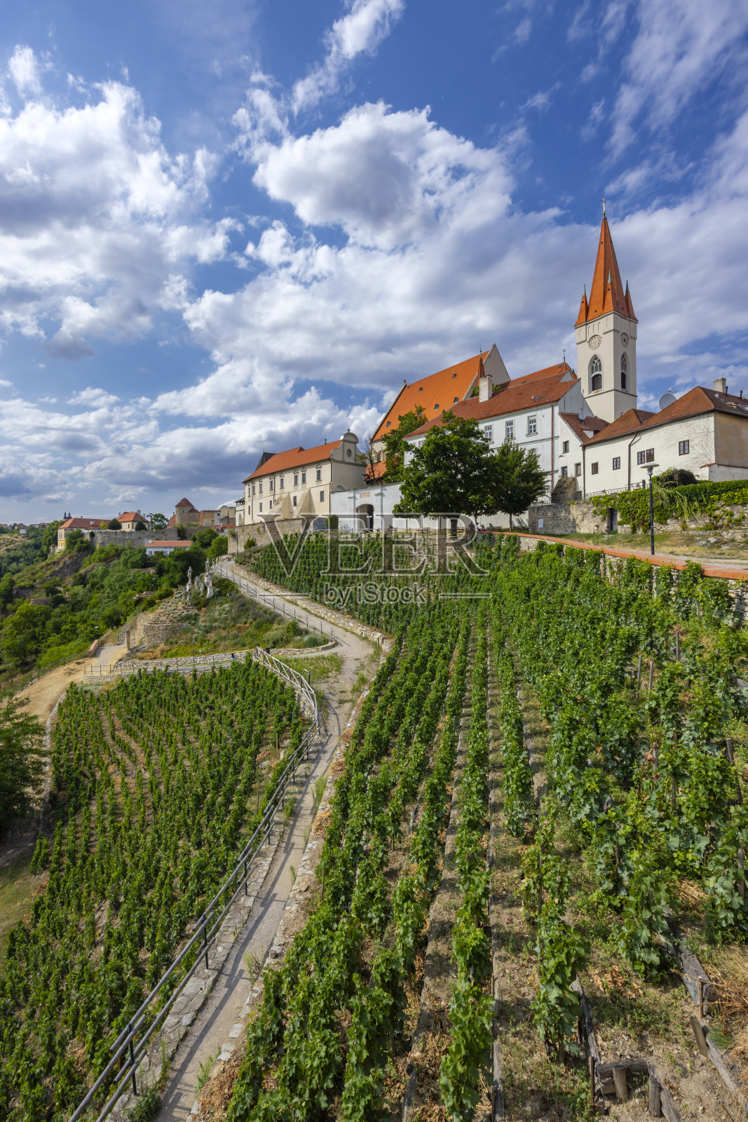 捷克共和国南部摩拉维亚Znojmo镇的天堂葡萄园照片摄影图片