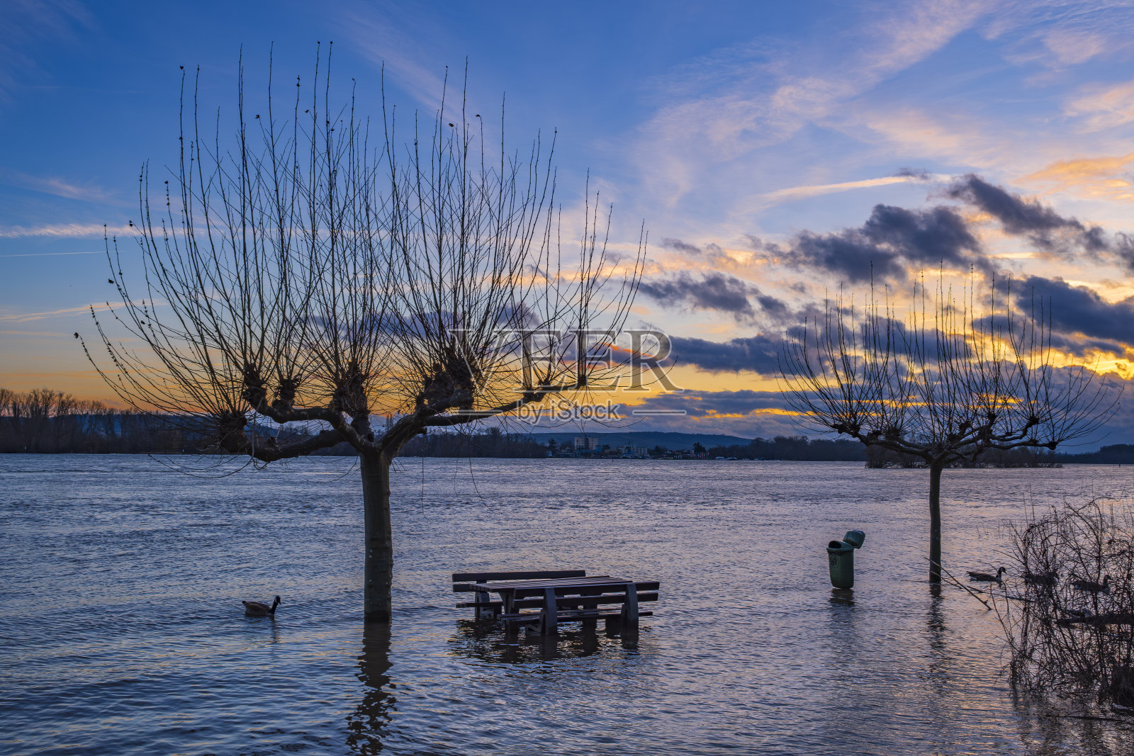 莱茵河洪水泛滥照片摄影图片