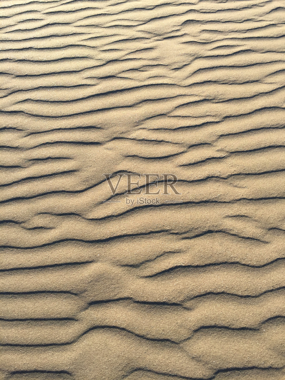 沙背景照片摄影图片