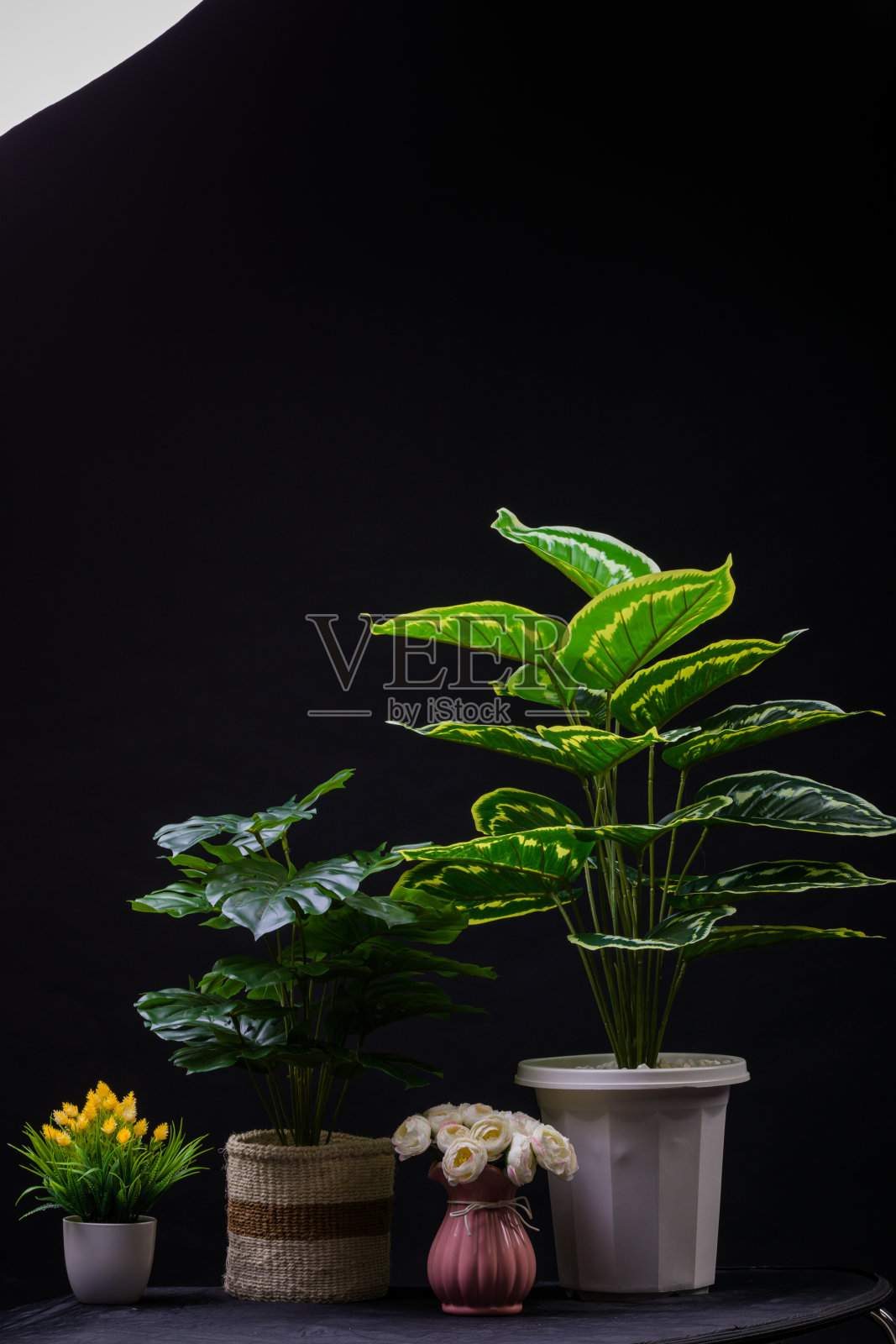 静物花照片摄影图片