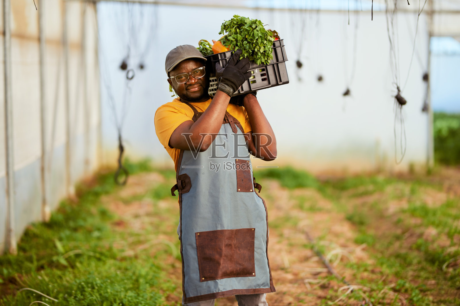 在温室里，黑人农民肩上扛着一箱蔬菜，面带微笑照片摄影图片
