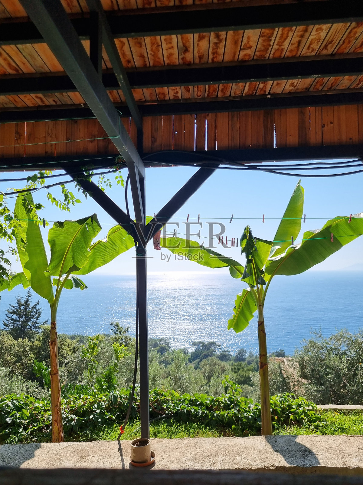 树木山谷的海景照片摄影图片