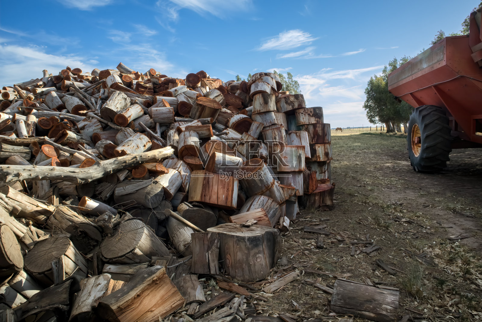 乡村风景，堆着取暖的原木，背景是一辆马车和一匹吃草的马照片摄影图片