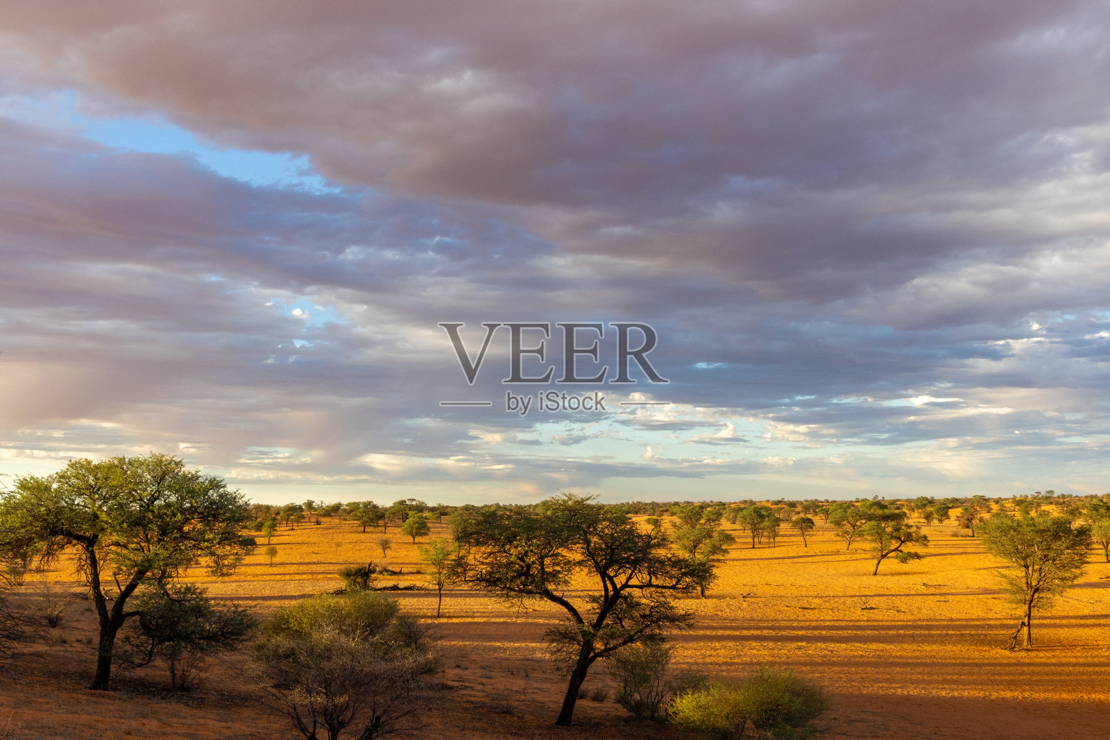 干旱的喀拉哈里沙漠景观与云，靠近喀拉加迪跨境公园的喀拉加布照片摄影图片