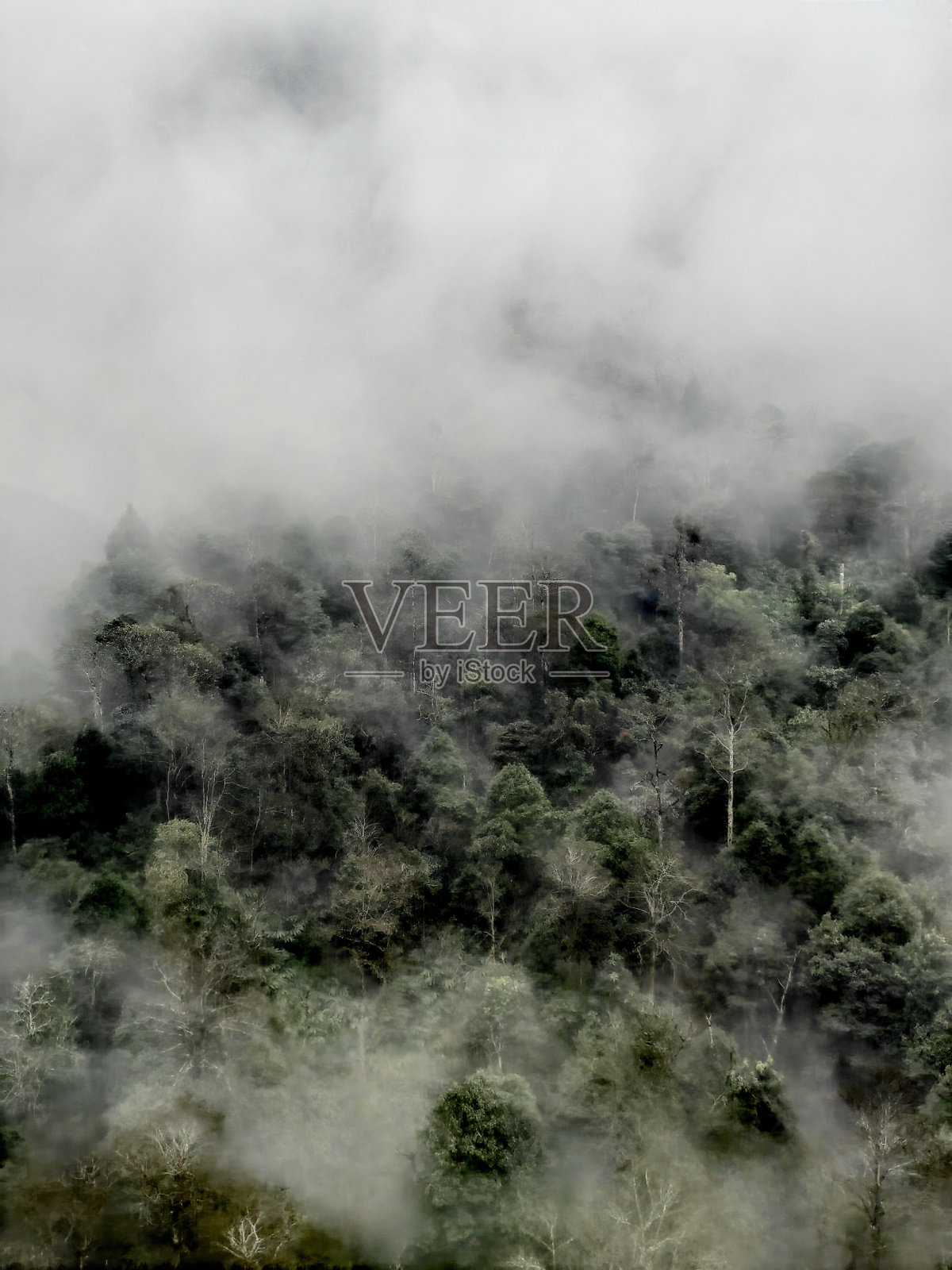 一些山顶上日出时的薄雾照片摄影图片