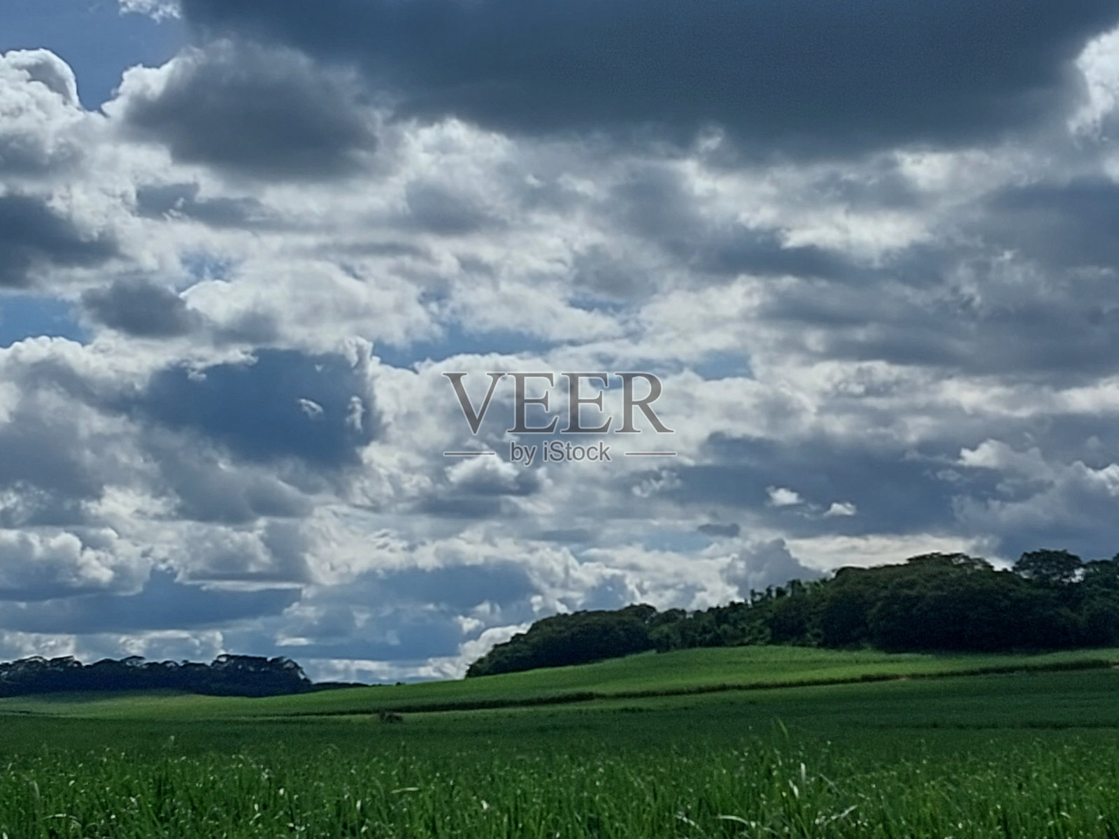 甘蔗种植园上空的云层照片摄影图片