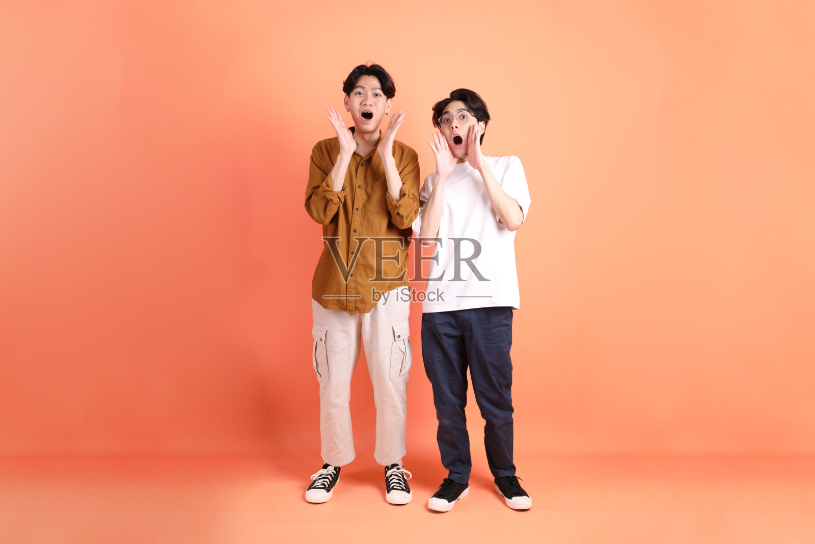 有枝之友照片摄影图片