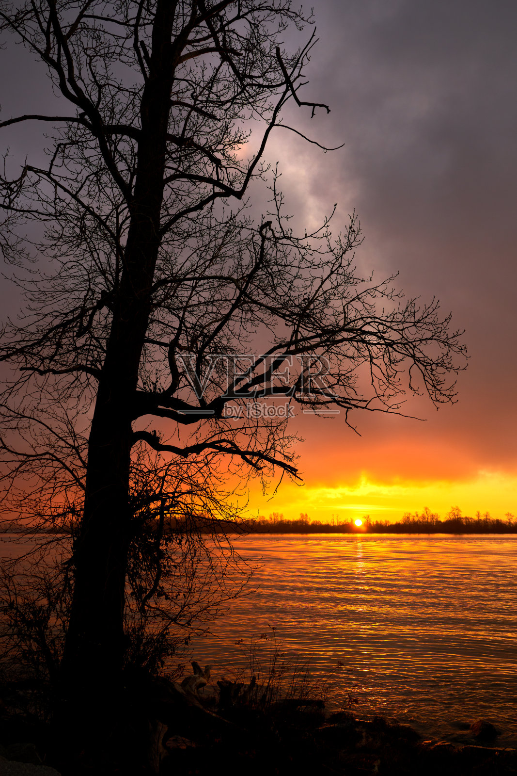 冬季日出加拿大弗雷泽河垂直照片摄影图片