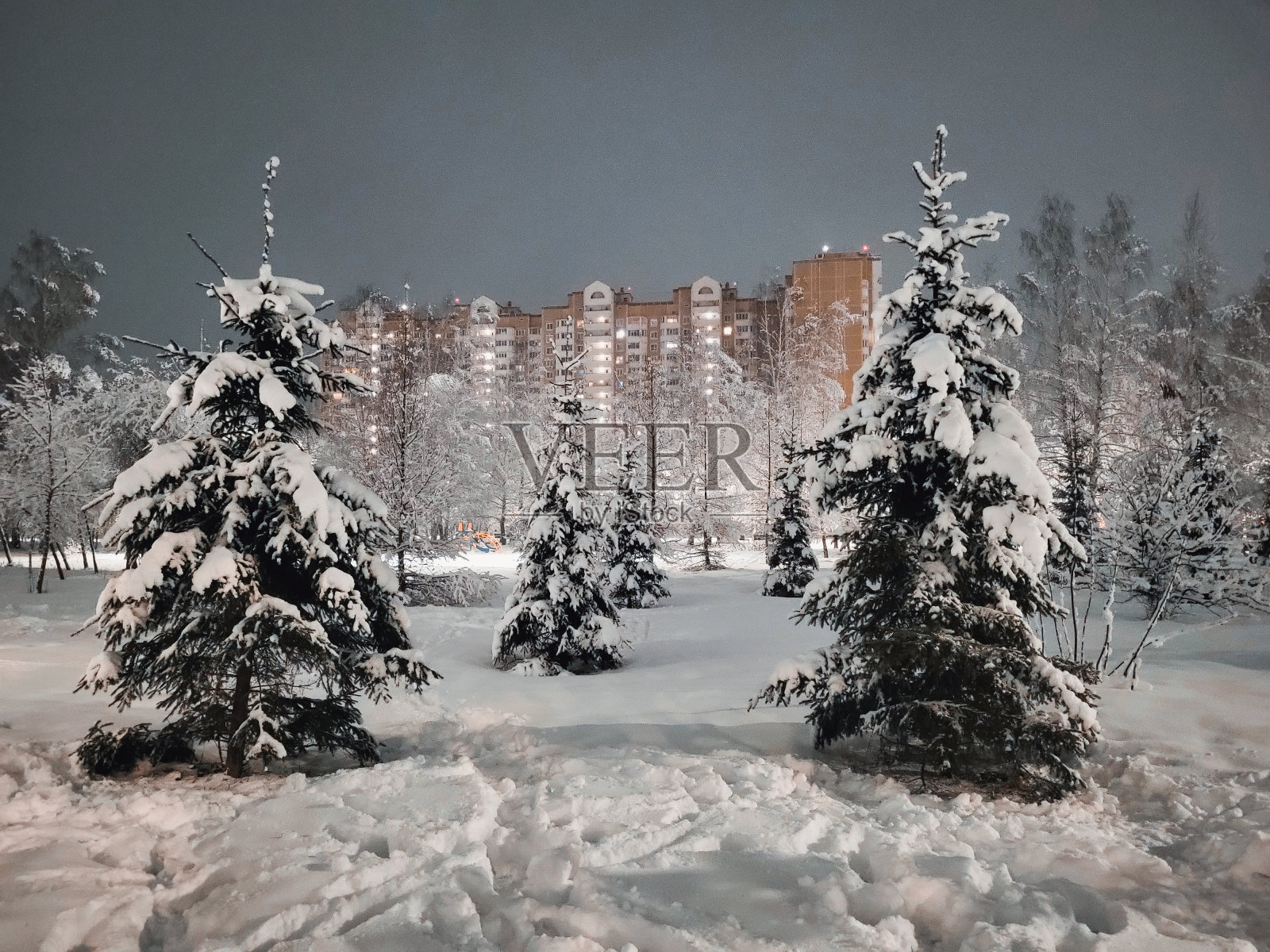 暮色中，城市公园里的树木在下雪后结霜照片摄影图片