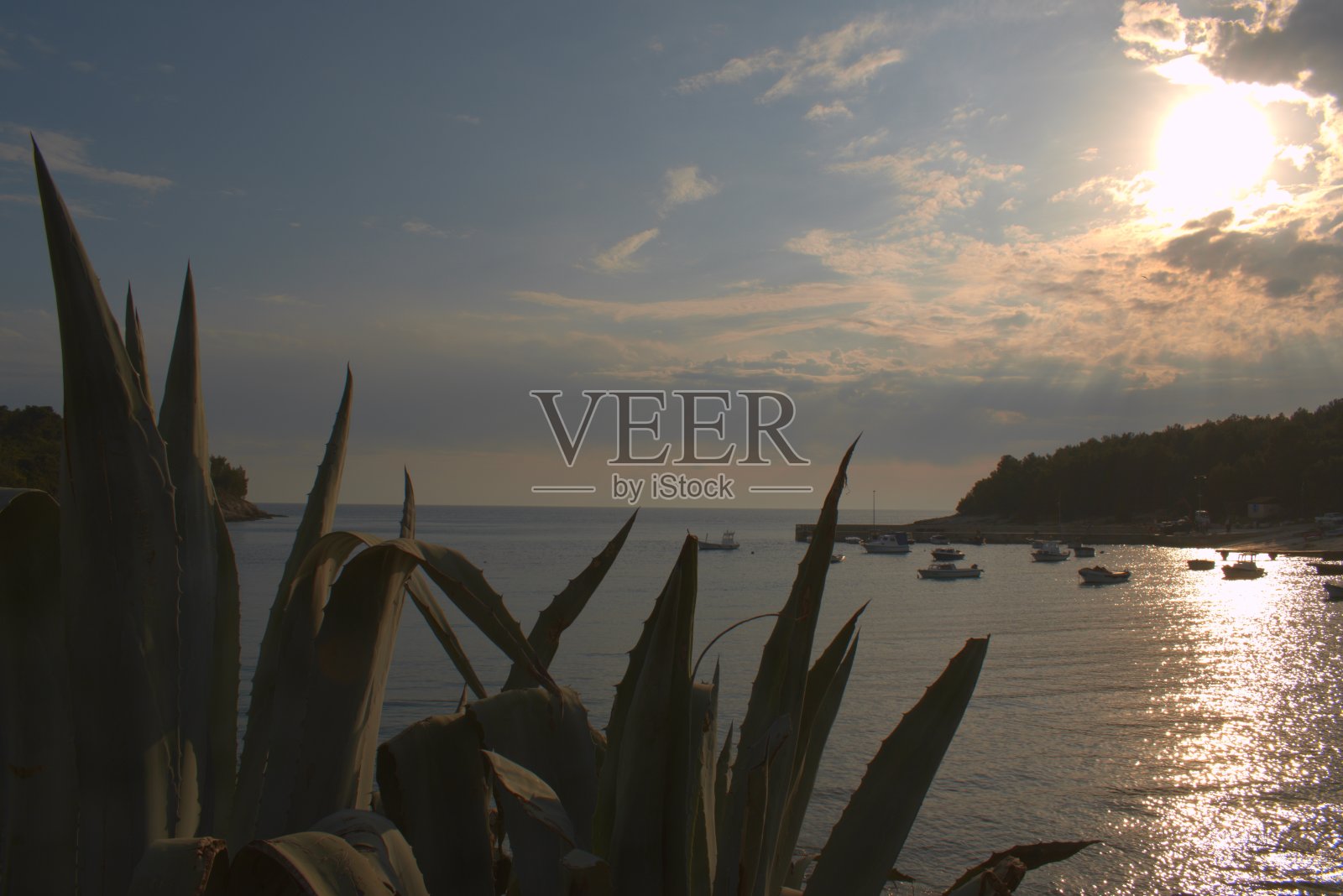 克罗地亚,Premantura照片摄影图片