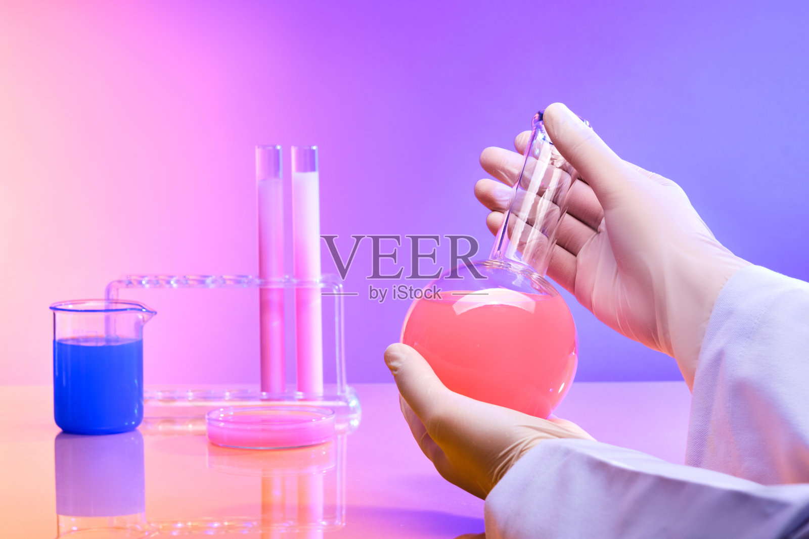 研究人员的手拿着一个沸腾的烧瓶，里面装着粉红色的溶液，旁边的玻璃器皿里装着色彩鲜艳的液体。粉红色的背景变成紫色。照片摄影图片