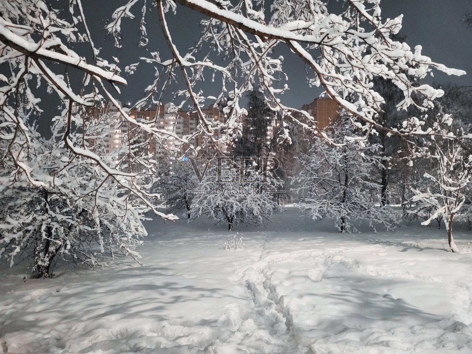 暮色中，城市公园里的树木在下雪后结霜照片摄影图片