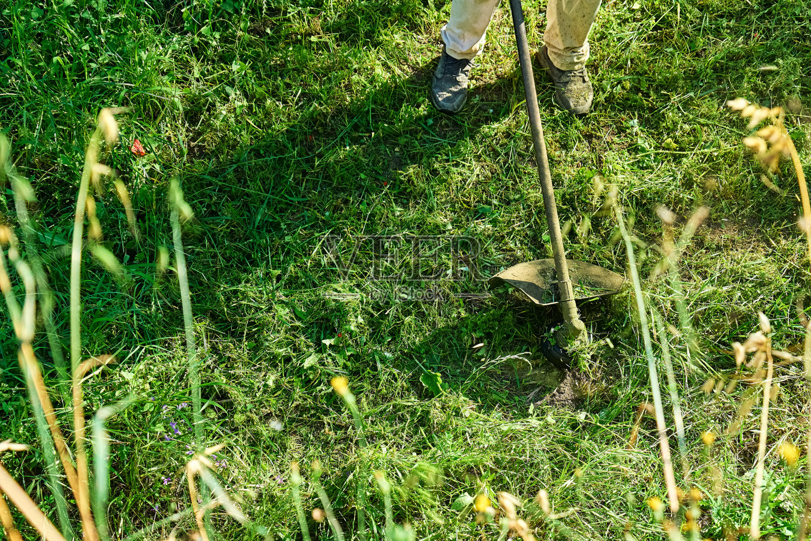园丁用带绳的除草机在花园里除草。一个人在院子里用割草机割绿草。照片摄影图片