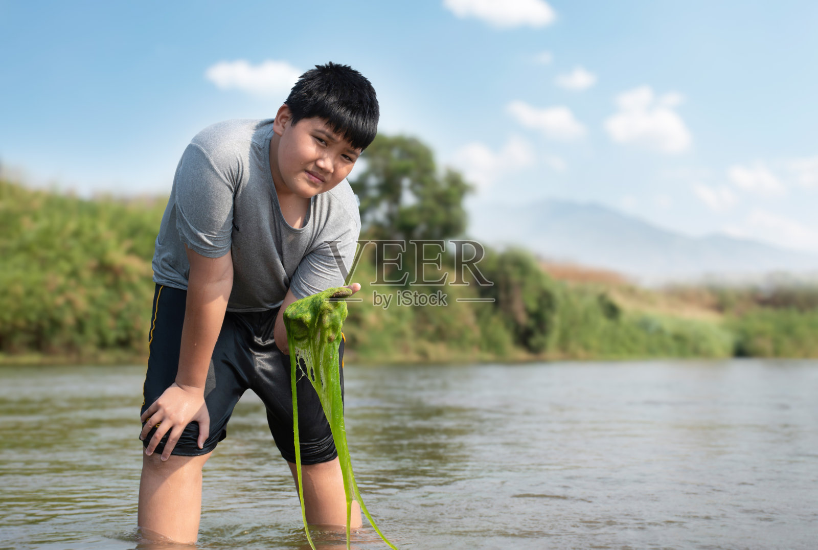 淡水藻类研究照片摄影图片