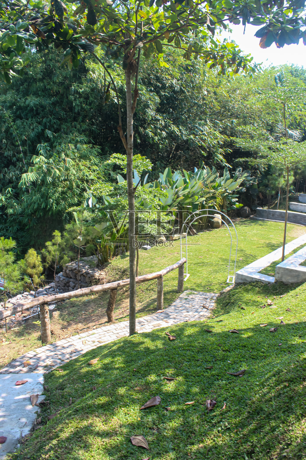 花园照片摄影图片