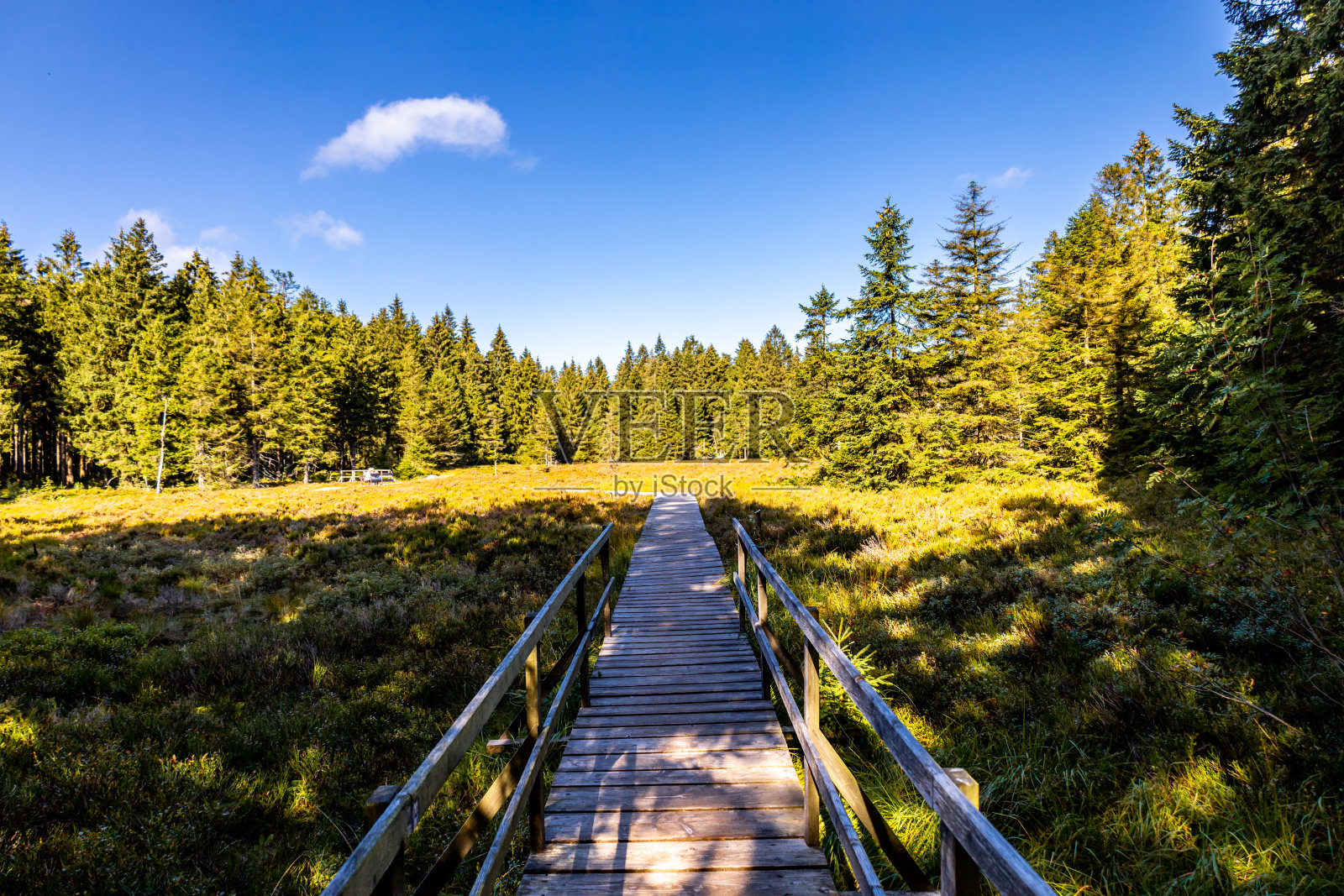 Autumn cycle tour on the high trail of the Thuringian Forest via Oberhof and Suhl照片摄影图片