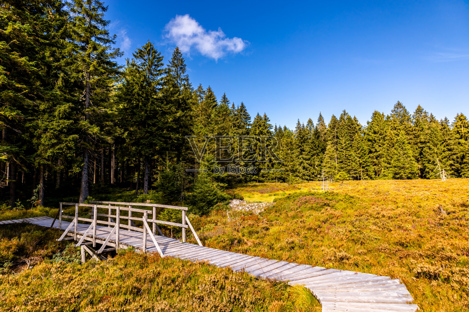 秋季在图林根森林的高步道上骑行，途经奥伯霍夫和苏尔照片摄影图片