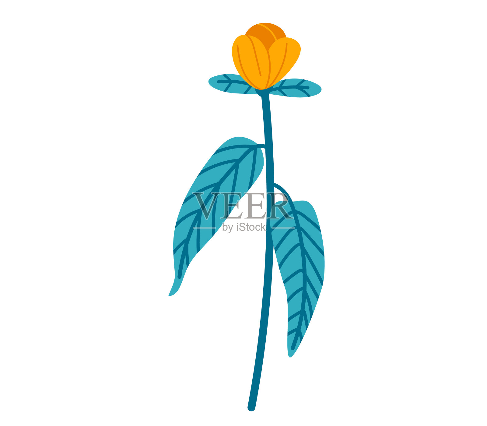 风格化的黄色花与蓝色的叶子孤立在白色的背景。图形郁金香植物矢量插图。自然主题和装饰花园植物矢量插图插画图片素材