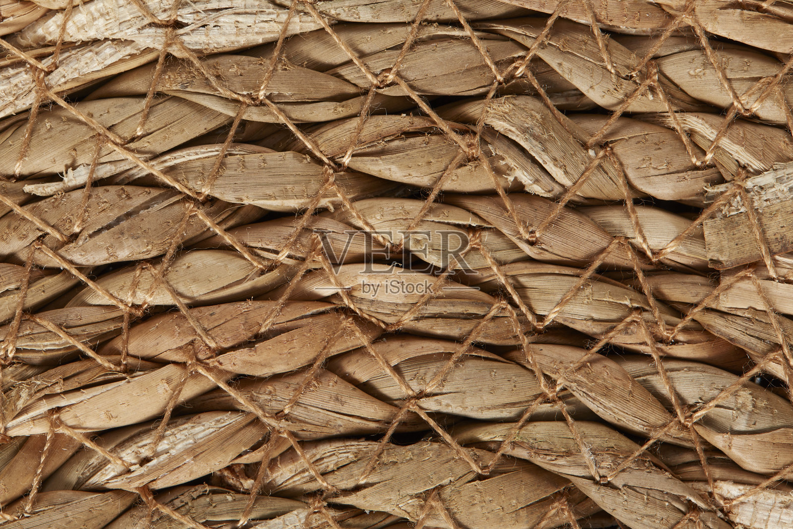 柳条特写照片摄影图片