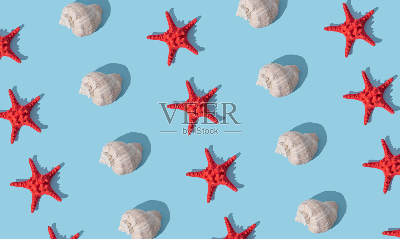 时尚的阳光夏季图案与海贝壳和红色海星在浅蓝色的背景。最小的夏季概念。海贝和海星的创意。夏天的审美。照片摄影图片